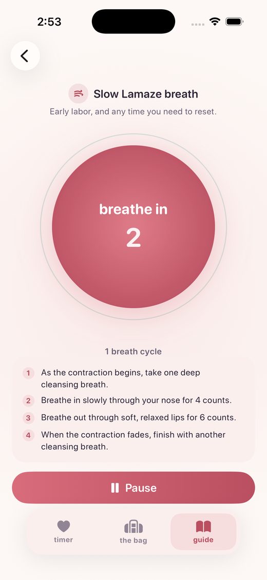Guided breathing pacer